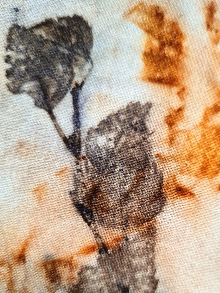 Eco-Print