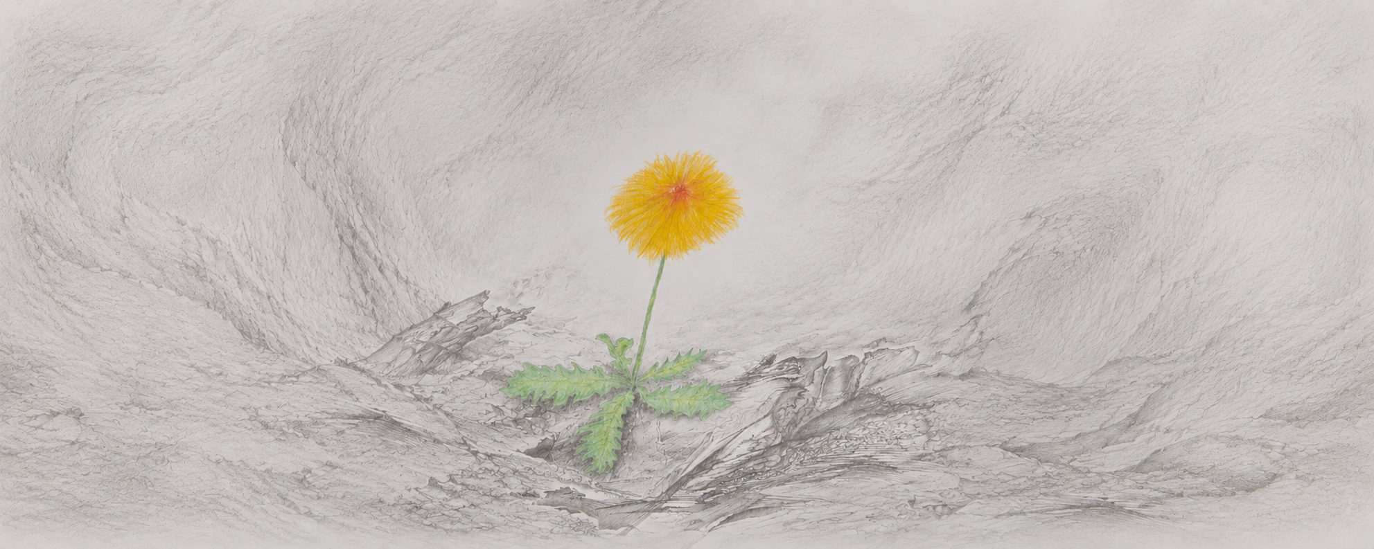 Ausstellung „Friedensblumen“